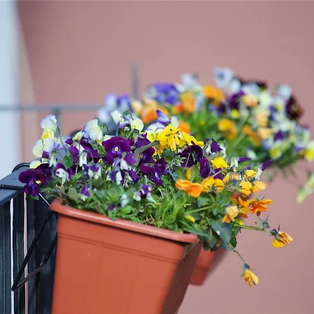 Il Giardino Segreto Bed & Breakfast 4*