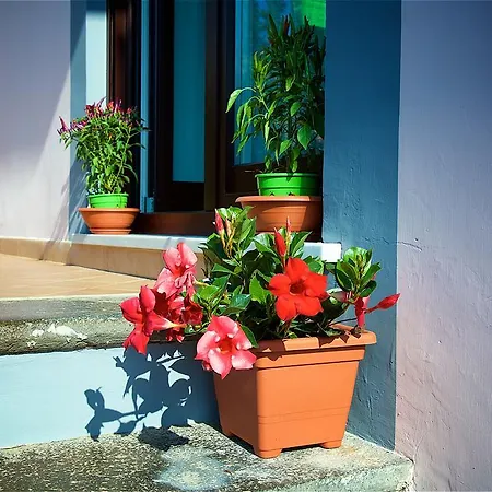 Il Giardino Segreto Frühstückspension Sorrent
