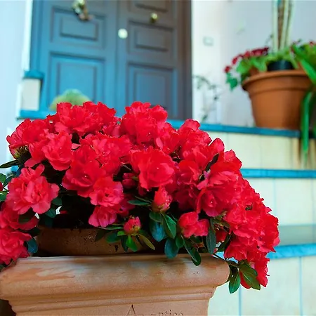 Couette-café Il Giardino Segreto 4*