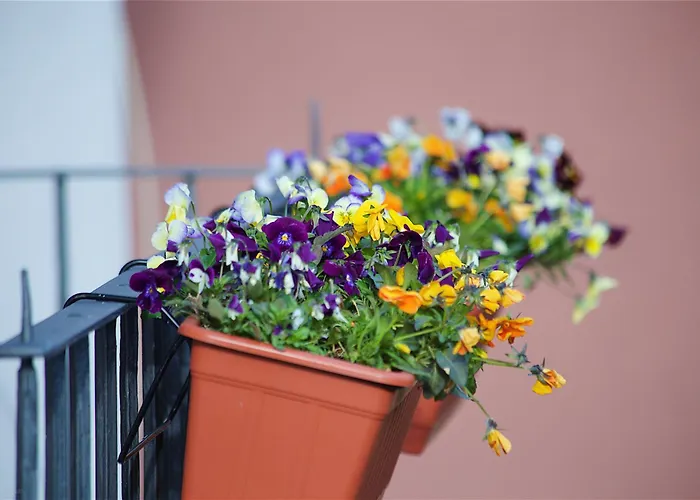 Il Giardino Segreto Bed & Breakfast 4*